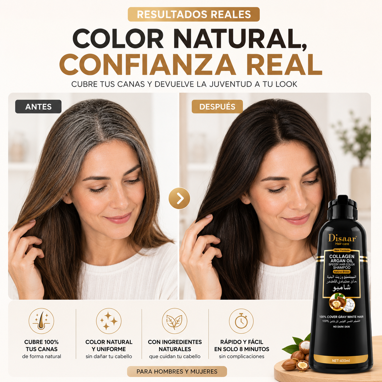 Shampoo pinta Canas Dissar.